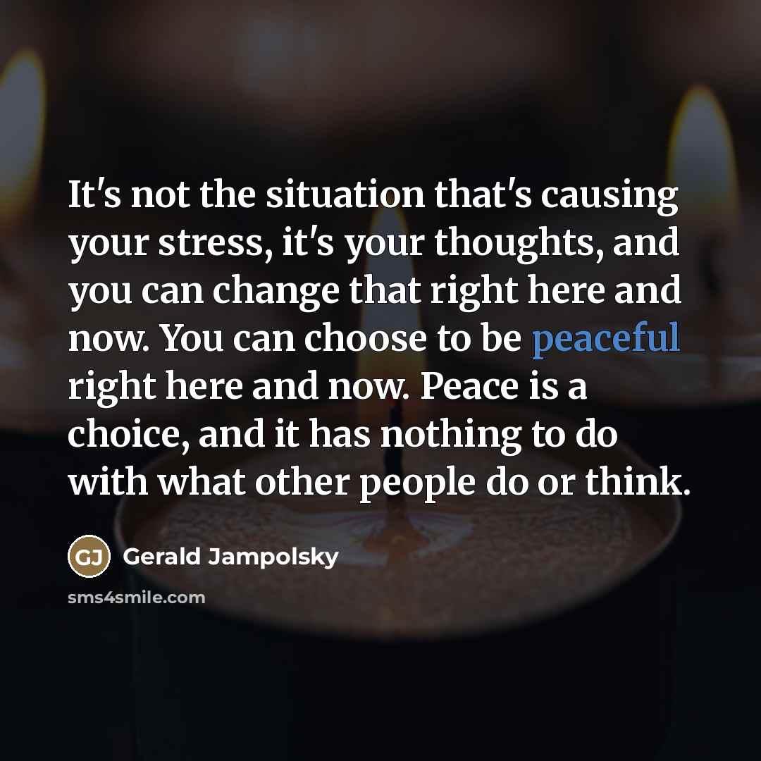 “It's not the situation that's causing your stress, it's your…” quote by Gerald Jampolsky