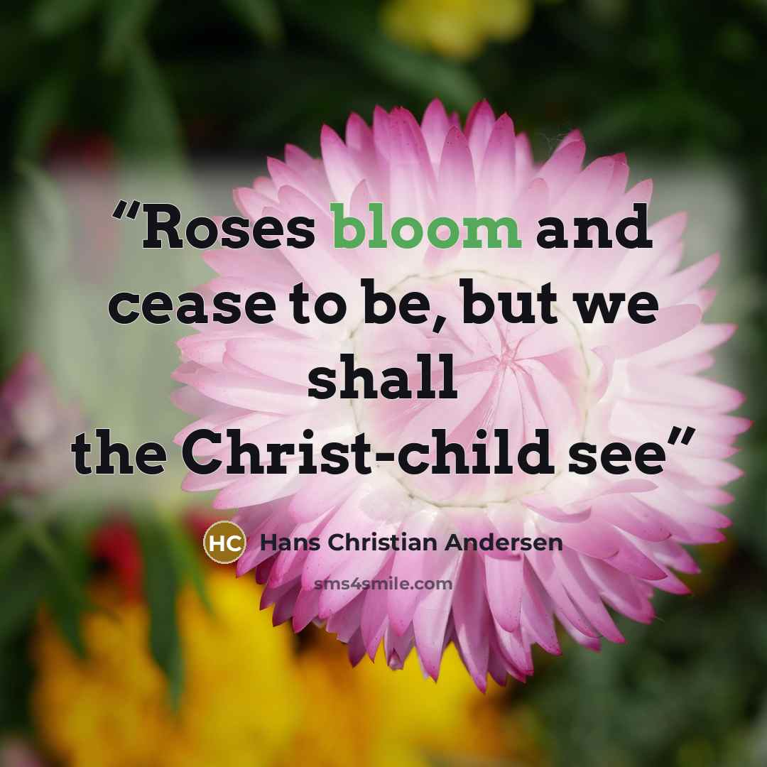“Roses bloom and cease to be, but we shall the Christ-child see” quote by Hans Christian Andersen
