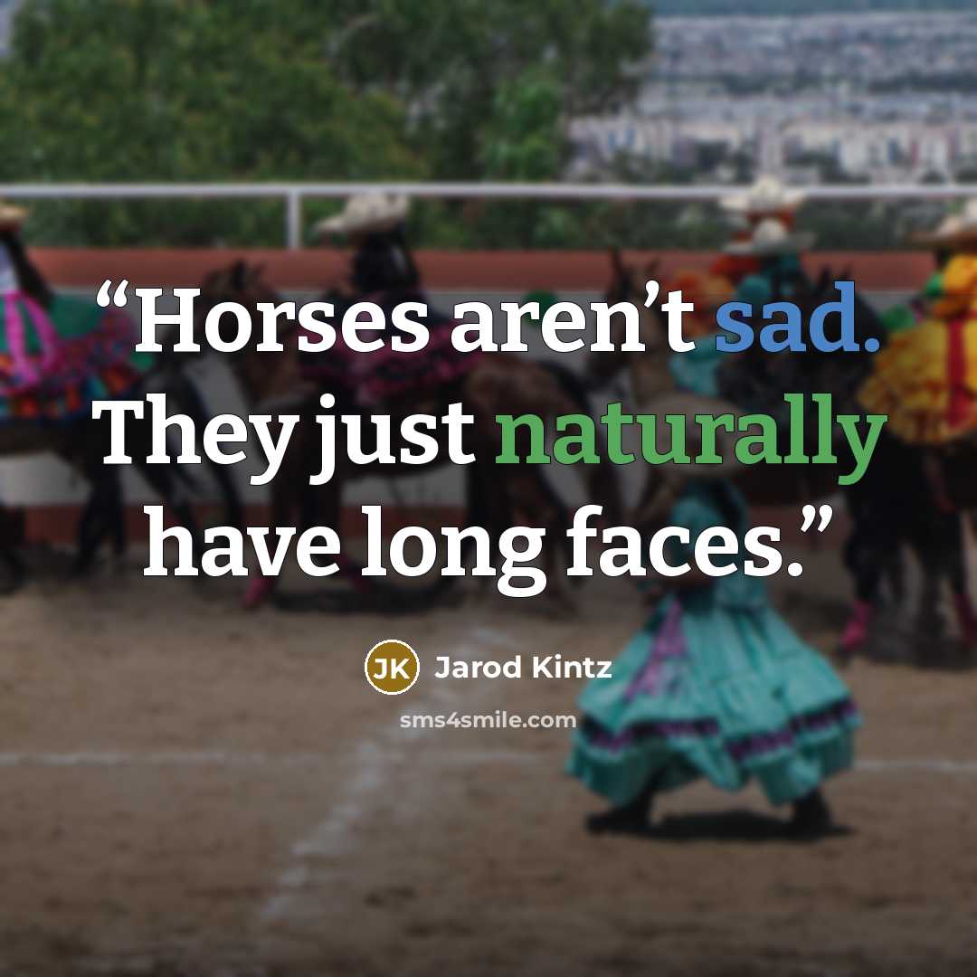 “Horses aren’t sad. They just naturally have long faces.” quote by Jarod Kintz