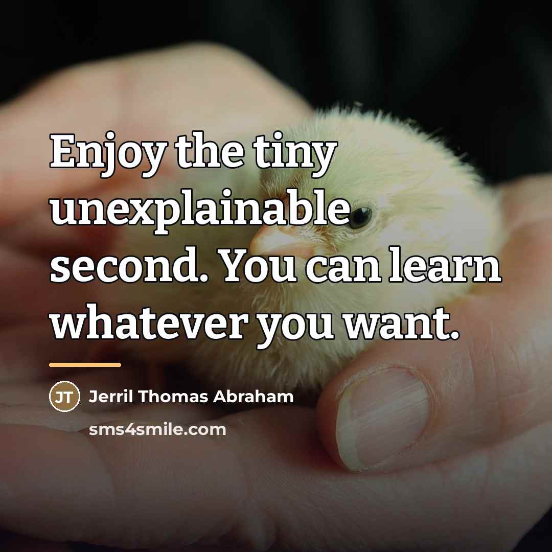 “Enjoy the tiny unexplainable second. You can learn whatever you…” quote by Jerril Thomas Abraham