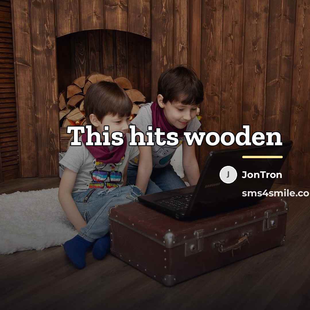 “This hits wooden…” quote by JonTron