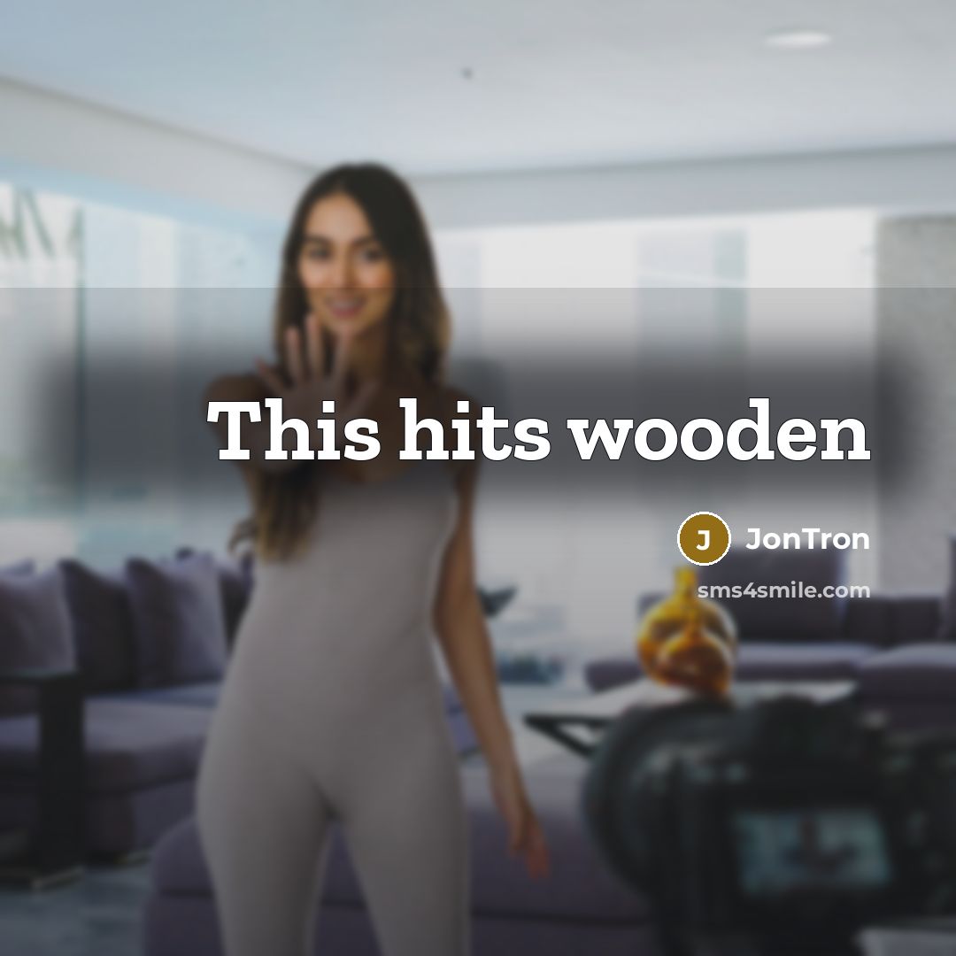 “This hits wooden” quote by JonTron
