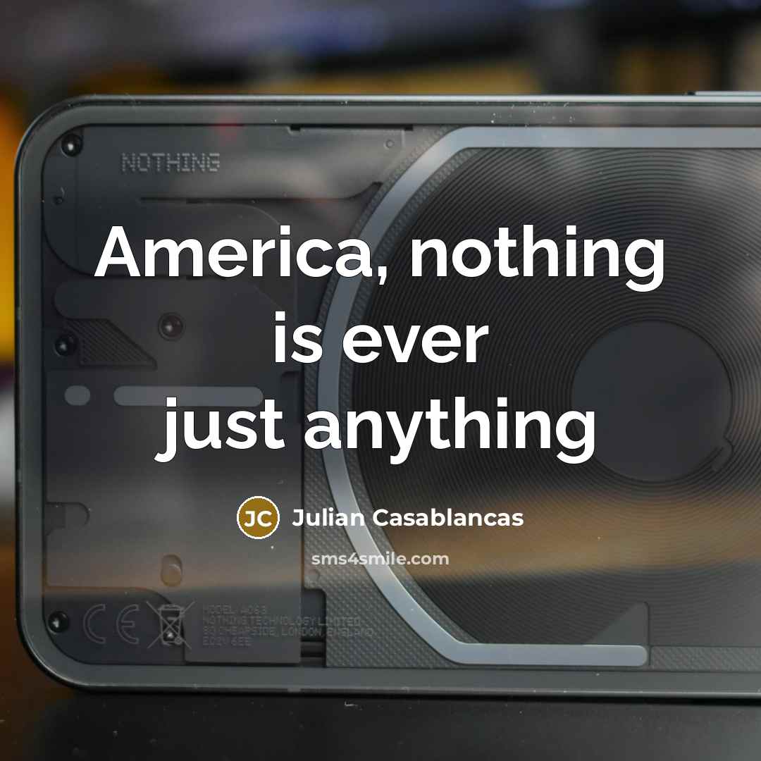 “America, nothing is ever just anything…” quote by Julian Casablancas