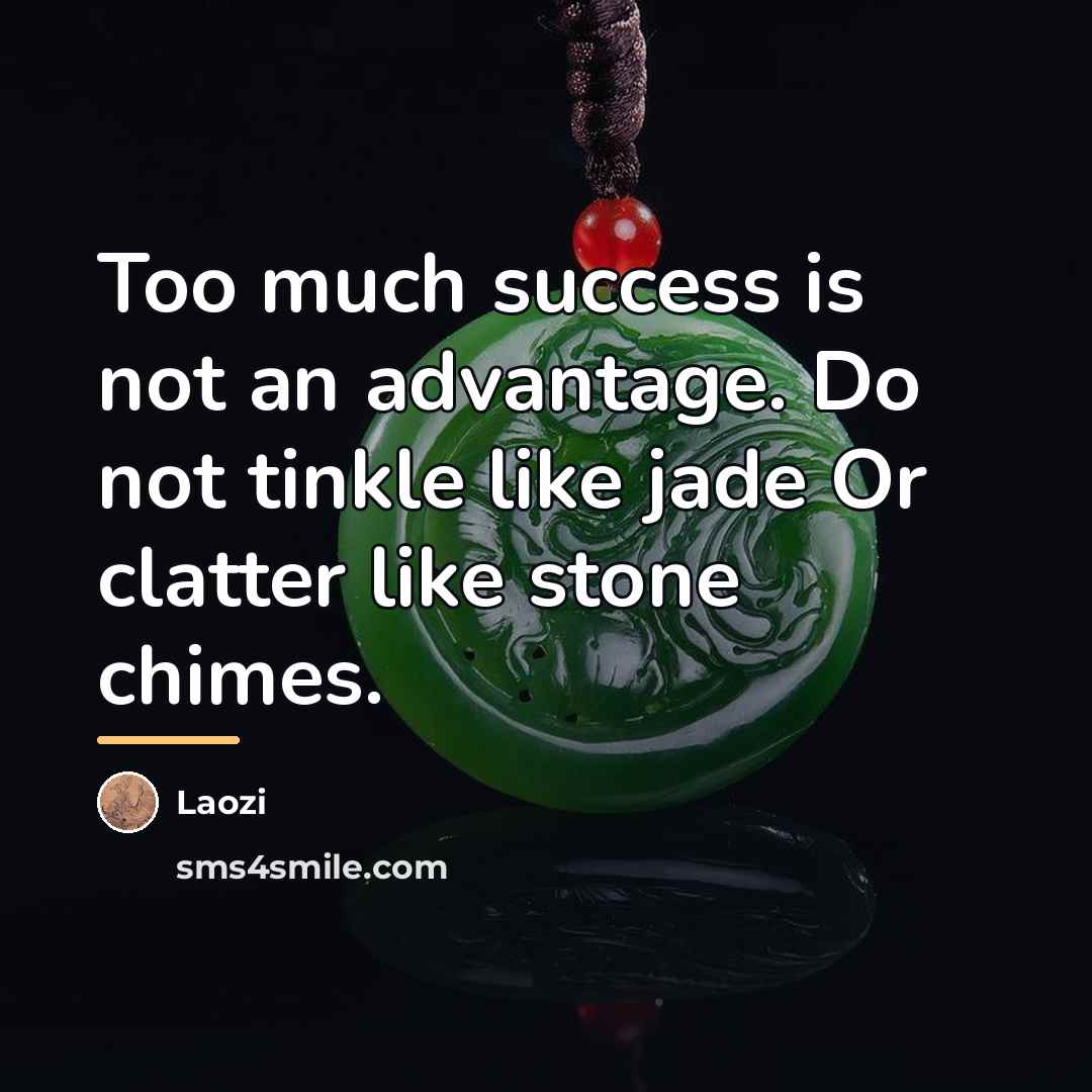 “Too much success is not an advantage. Do not tinkle…” quote by Laozi