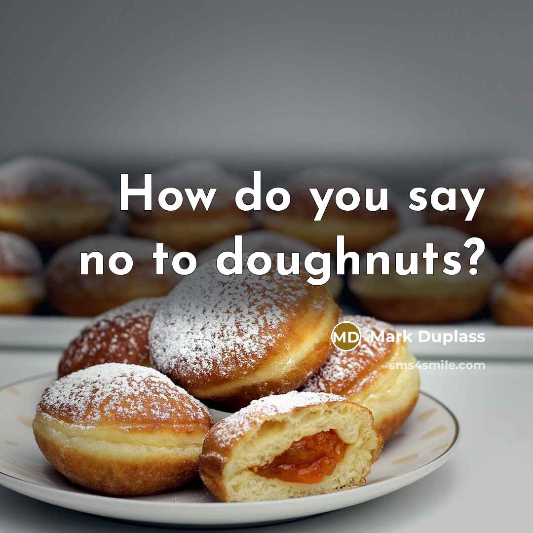 “How do you say no to doughnuts?” quote by Mark Duplass