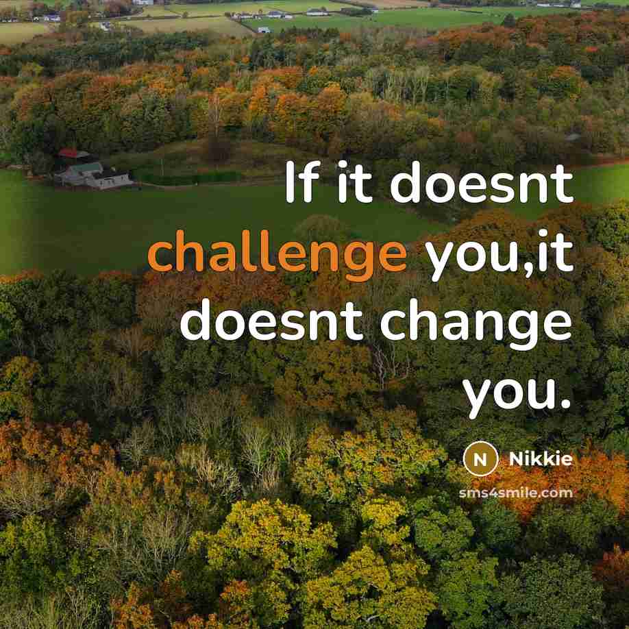 “If it doesnt challenge you,it doesnt change you.…” quote by Nikkie