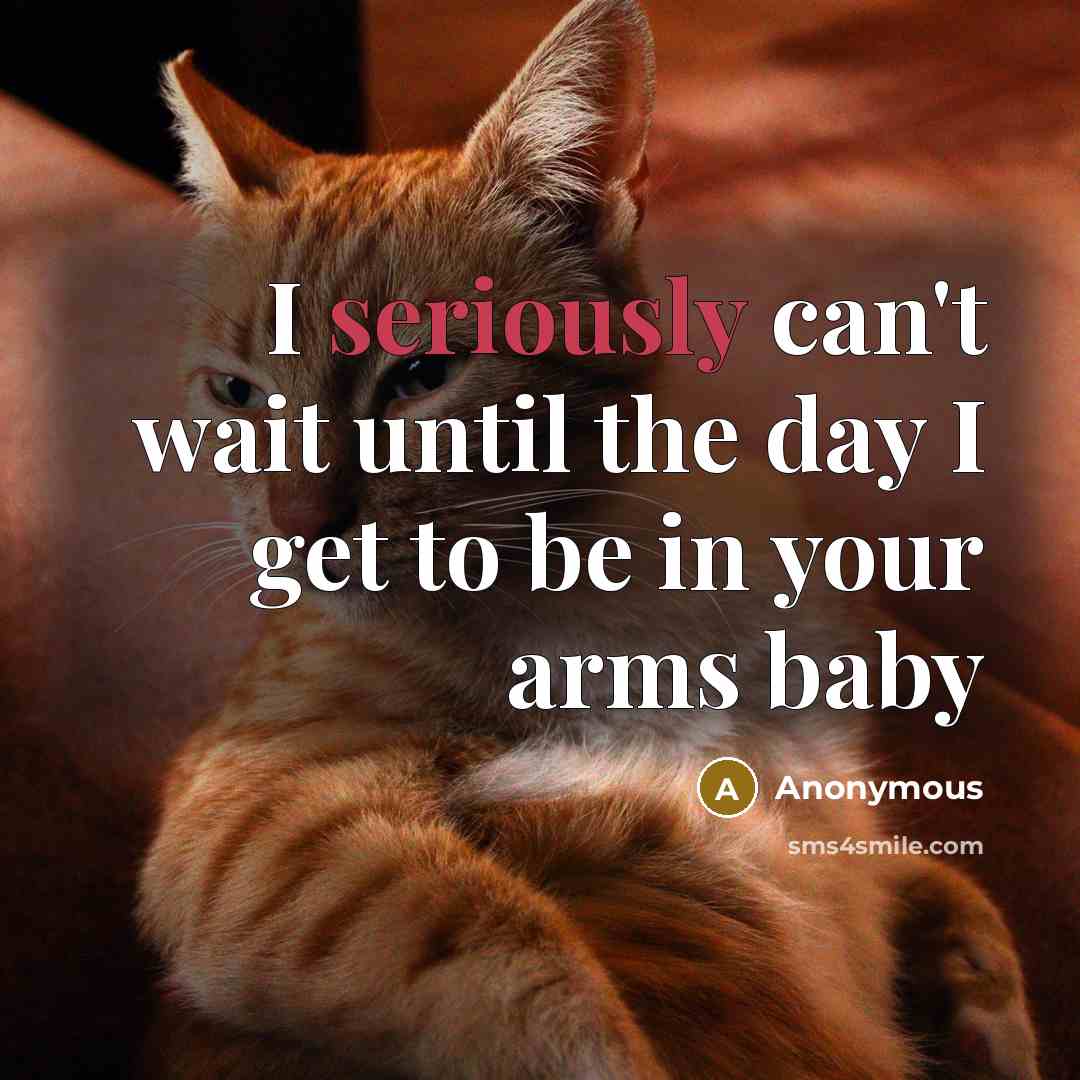 “I seriously can't wait until the day I get to be in your arms baby” quote by Anonymous