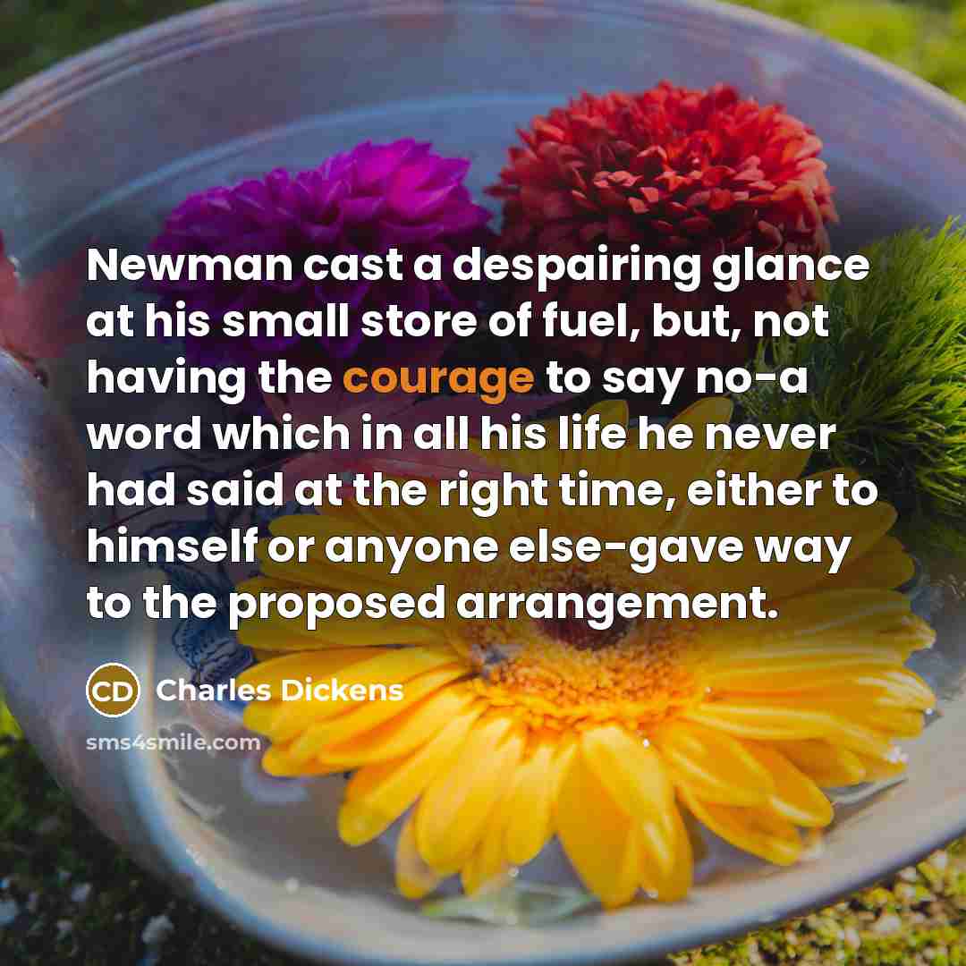 “Newman cast a despairing glance at his small store of…” quote by Charles Dickens