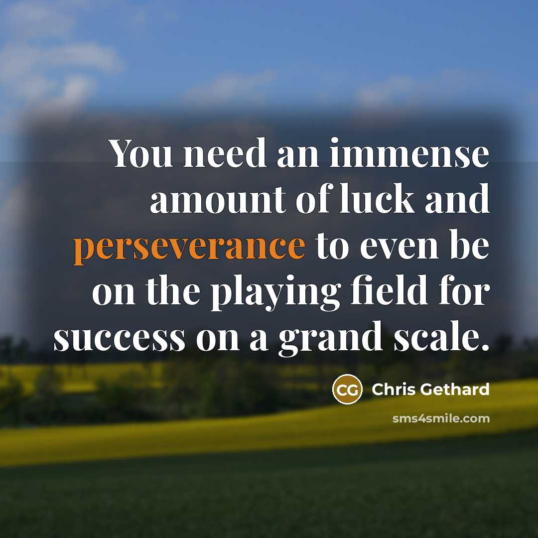 “You need an immense amount of luck and perseverance to…” quote by Chris Gethard