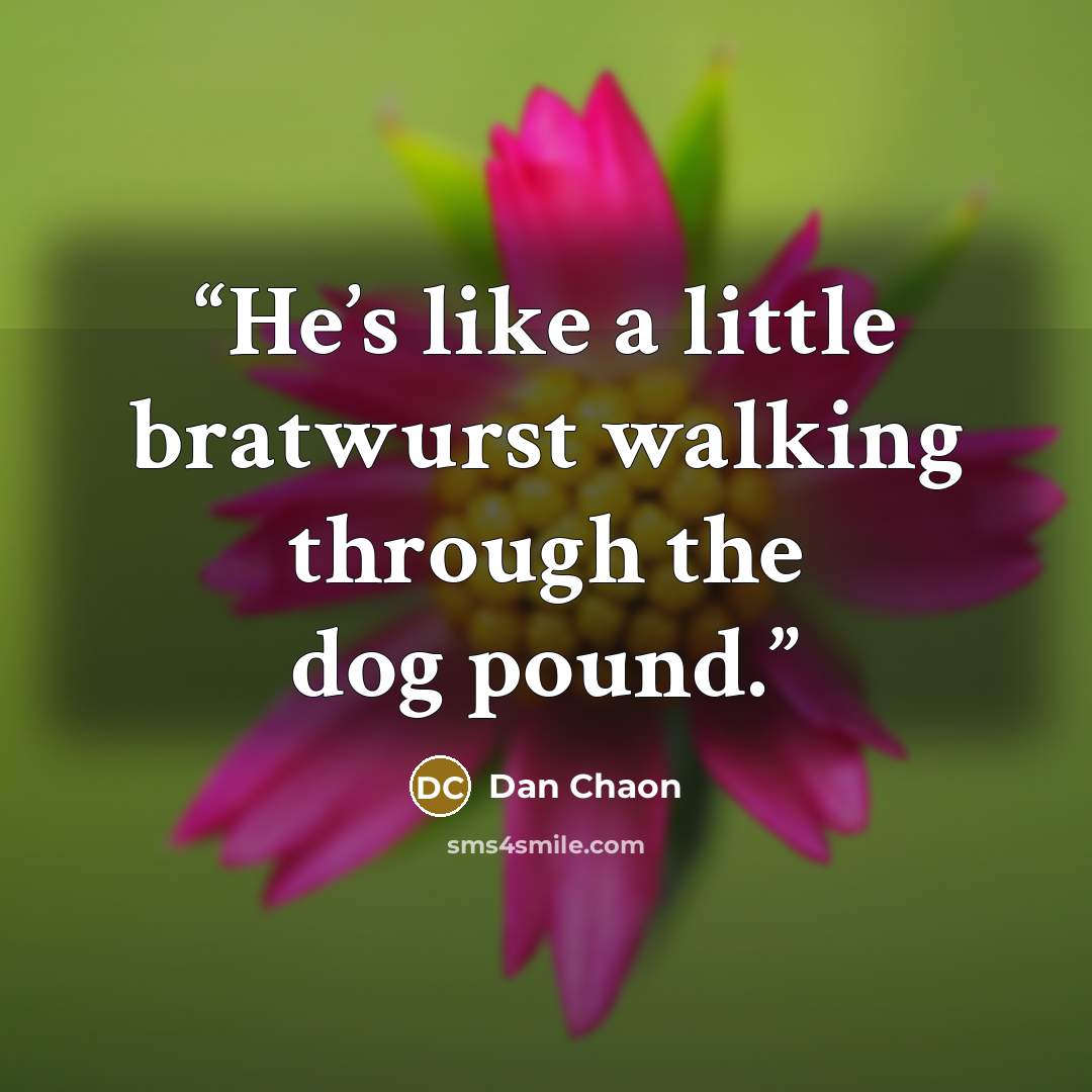 “He’s like a little bratwurst walking through the dog pound.” quote by Dan Chaon