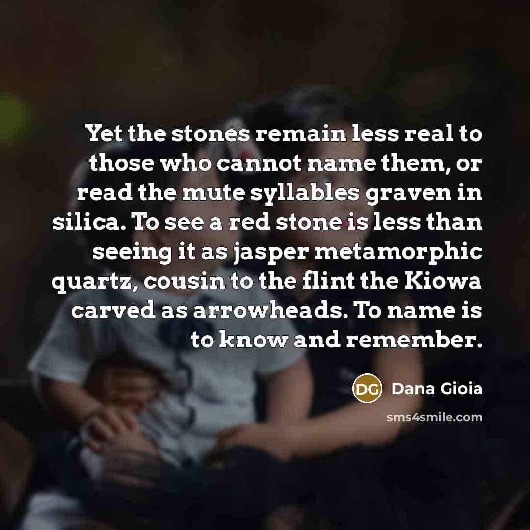 “Yet the stones remain less real to those who cannot…” quote by Dana Gioia
