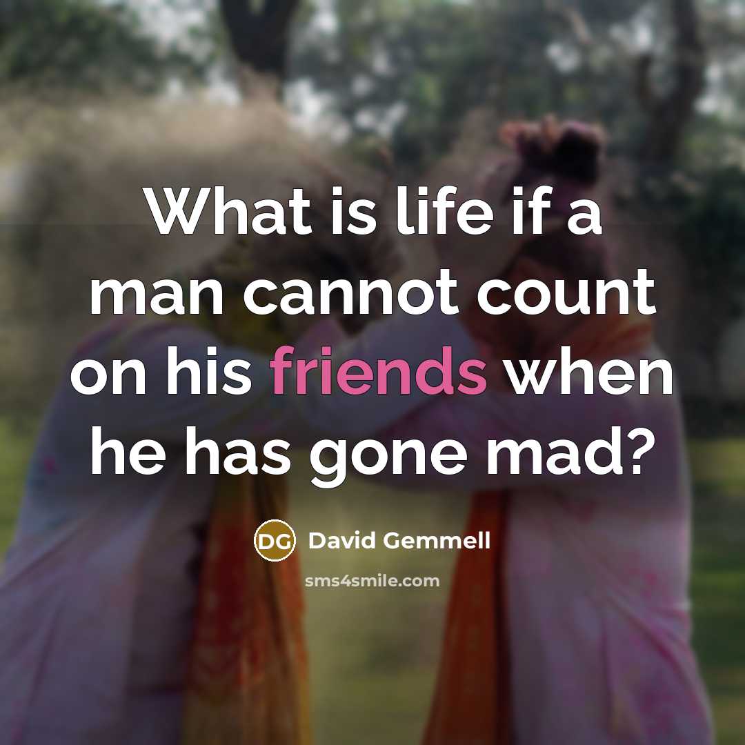 “What is life if a man cannot count on his friends when he has gone mad?” quote by David Gemmell