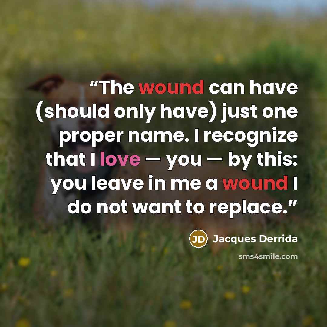 “The wound can have (should only have) just one proper name. I recognize that I love — you — by this: you leave in me a wound I do not want to replace.” quote by Jacques Derrida