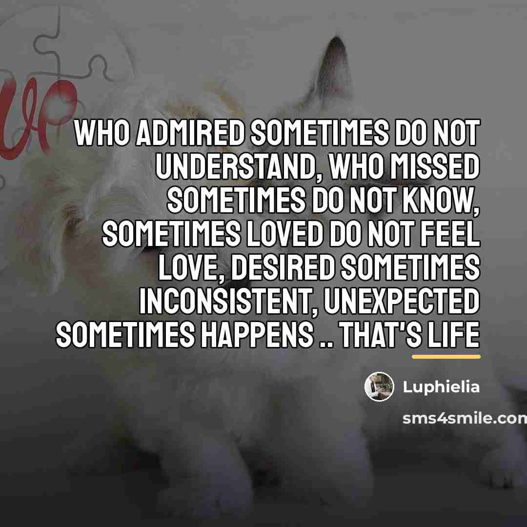 “Who admired sometimes do not understand, who missed sometimes do…” quote by Luphielia