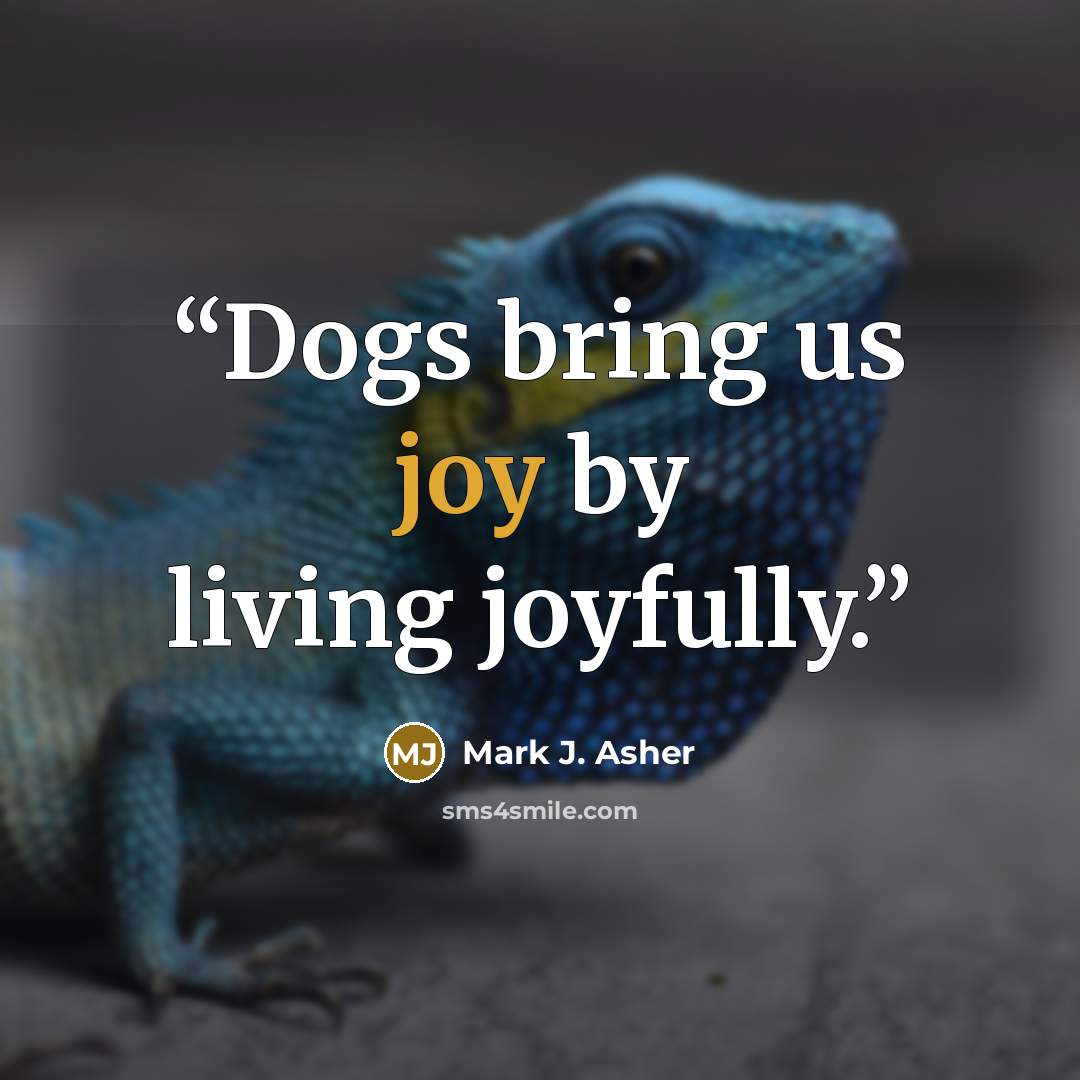 “Dogs bring us joy by living joyfully.” quote by Mark J. Asher