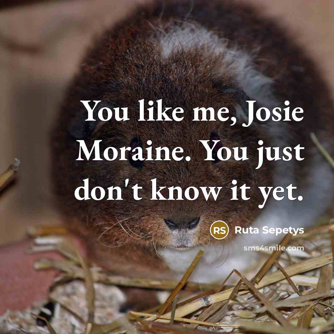 “You like me, Josie Moraine. You just don't know it…” quote by Ruta Sepetys