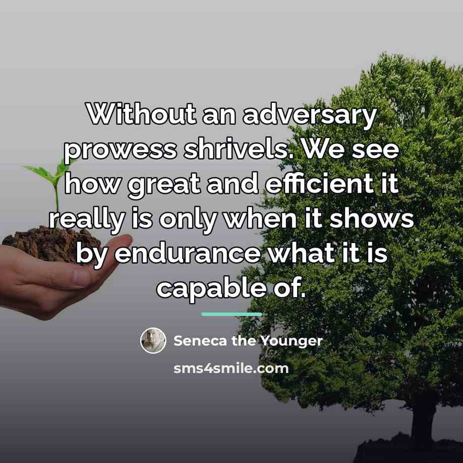 “Without an adversary prowess shrivels. We see how great and…” quote by Seneca the Younger