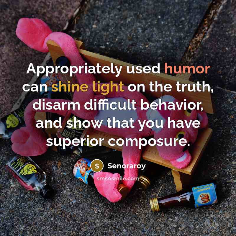 “Appropriately used humor can shine light on the truth, disarm difficult behavior, and show that you have superior composure.” quote by Senoraroy