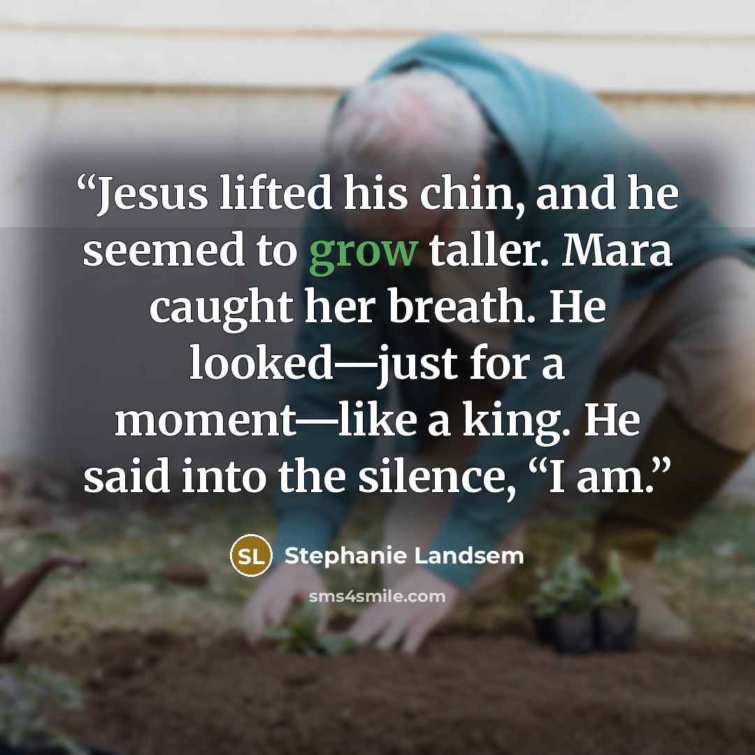 “Jesus lifted his chin, and he seemed to grow taller. Mara caught her breath. He looked—just for a moment—like a king. He said into the silence, “I am.” quote by Stephanie Landsem