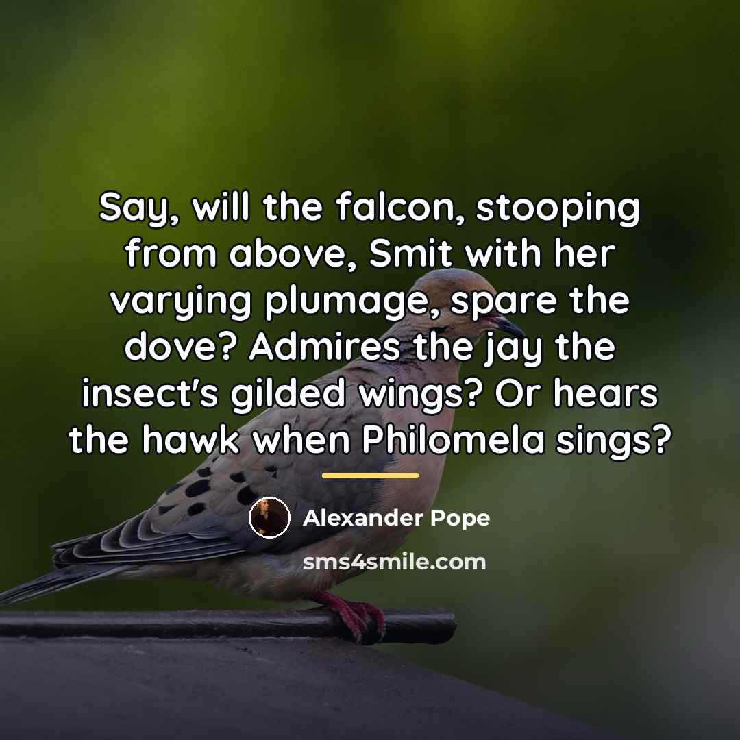 “Say, will the falcon, stooping from above, Smit with her…” quote by Alexander Pope
