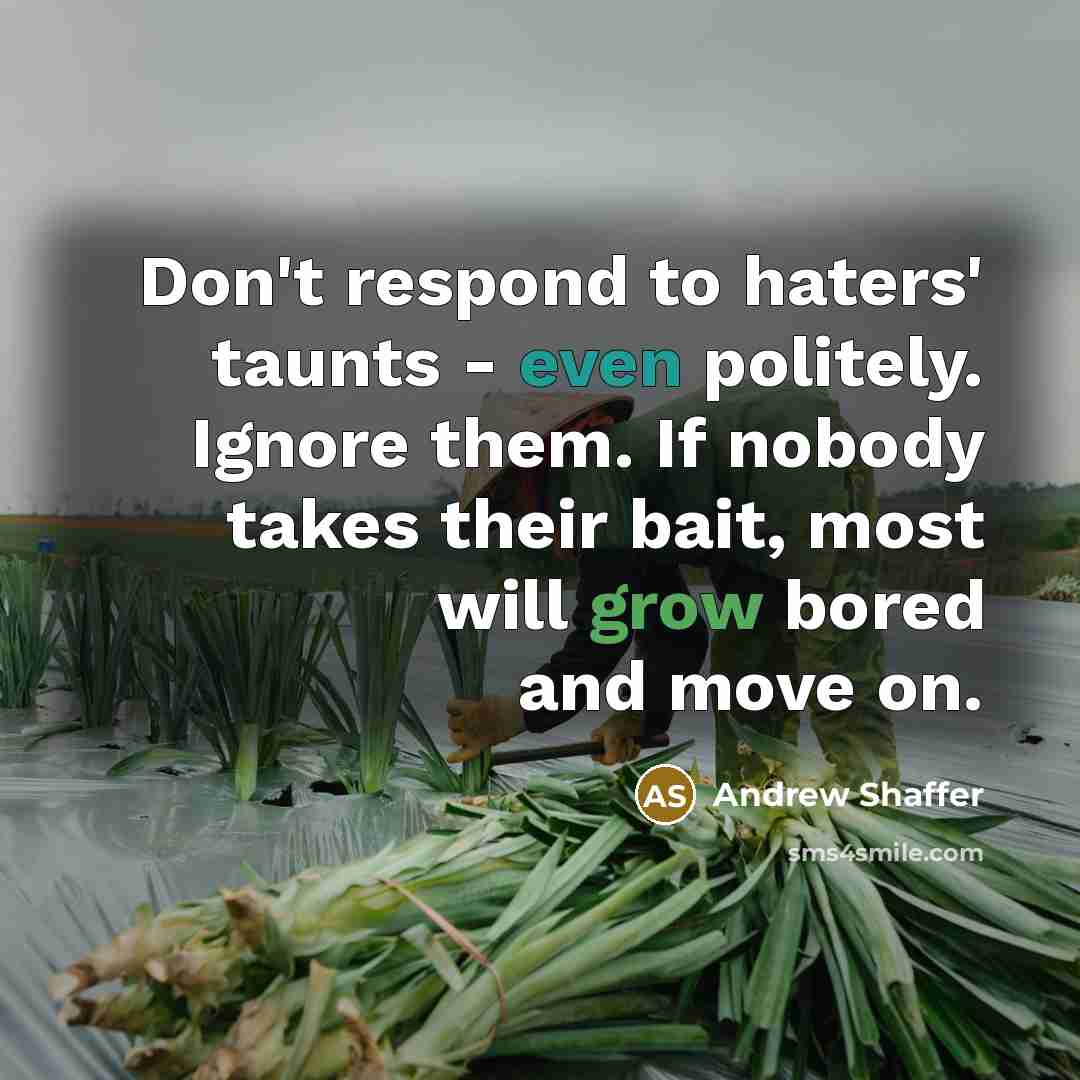 “Don't respond to haters' taunts - even politely. Ignore them.…” quote by Andrew Shaffer