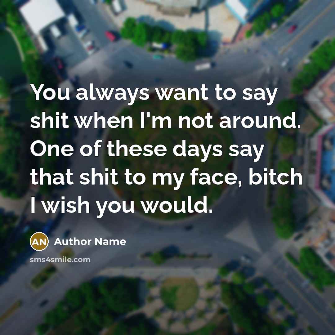 “You always want to say shit when I'm not around. One of these days say that shit to my face, bitch I wish you would.” quote by Author Name