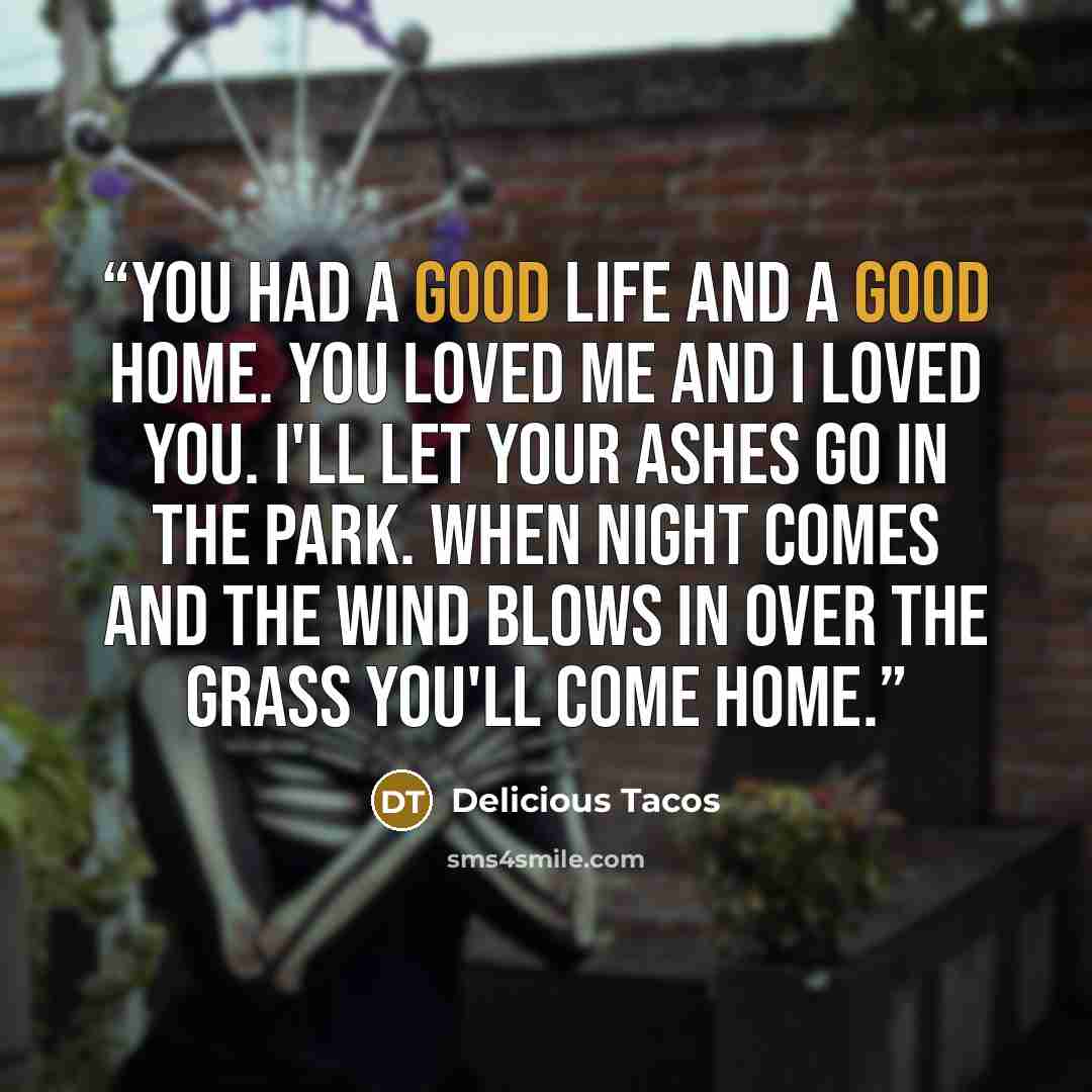 “You had a good life and a good home. You loved me and I loved you. I'll let your ashes go in the park. When night comes and the wind blows in over the grass you'll come home.” quote by Delicious Tacos