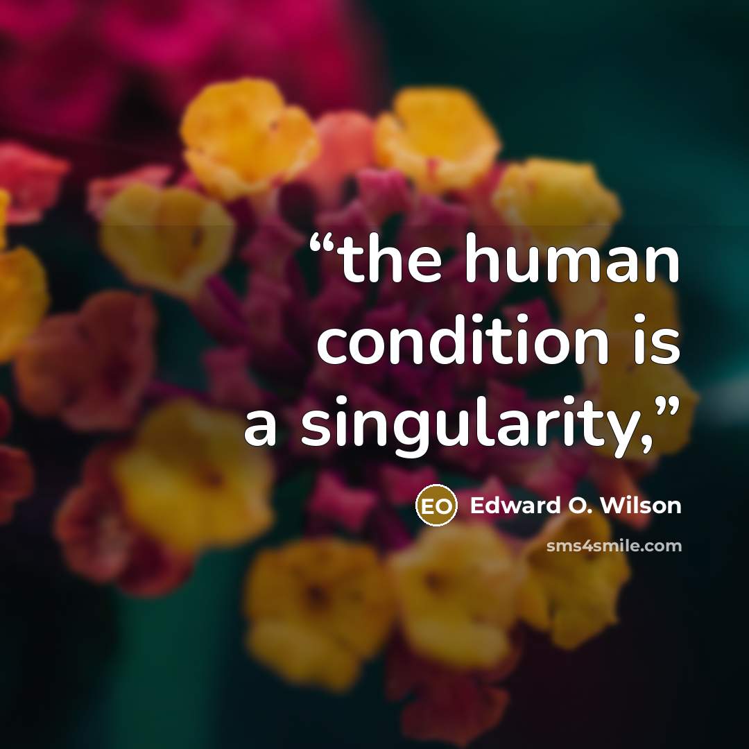 “the human condition is a singularity,” quote by Edward O. Wilson