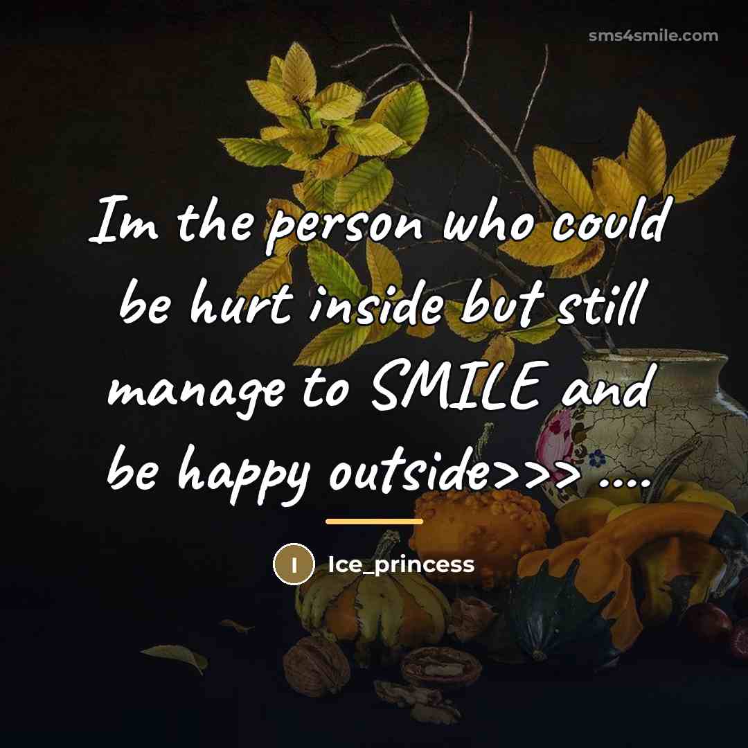 “Im the person who could be hurt inside but still…” quote by Ice_princess