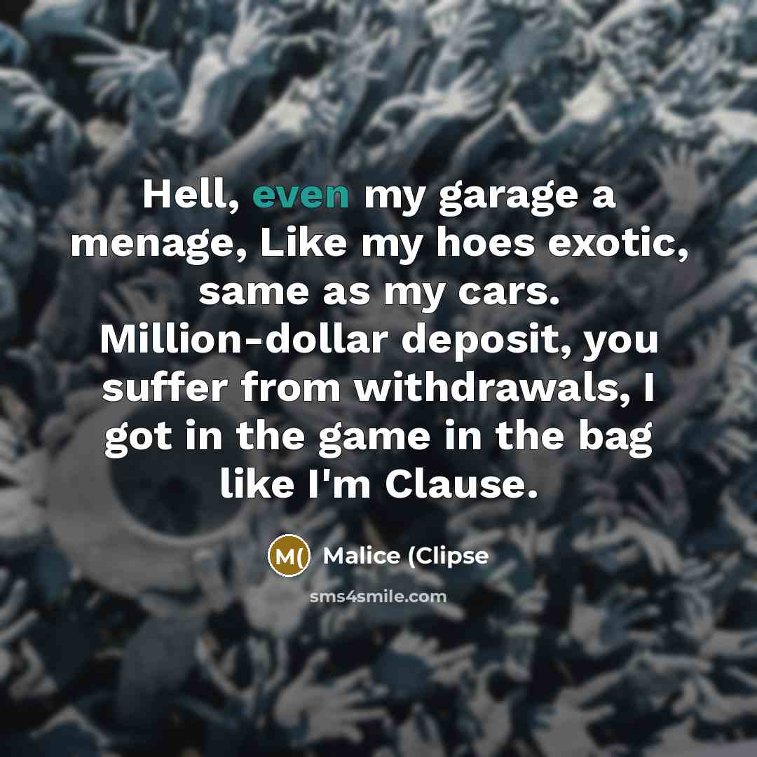 “Hell, even my garage a menage, Like my hoes exotic,…” quote by Malice (Clipse