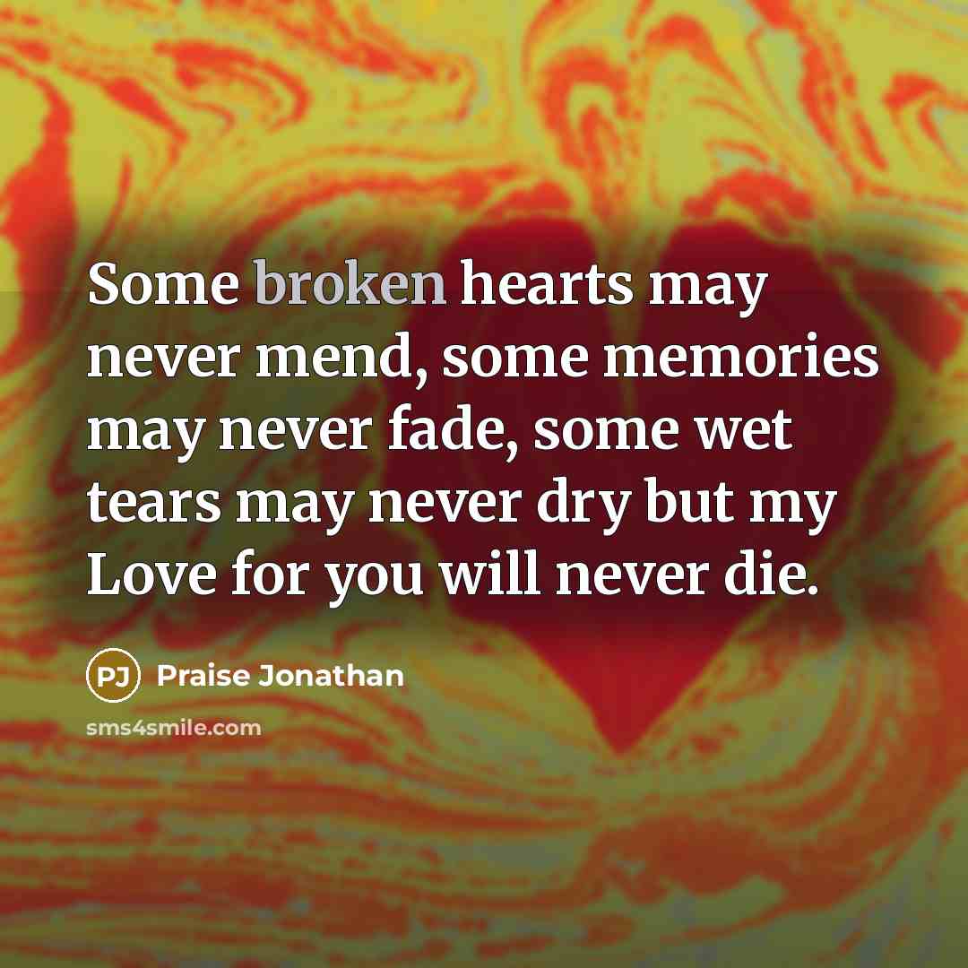 “Some broken hearts may never mend, some memories may never…” quote by Praise Jonathan