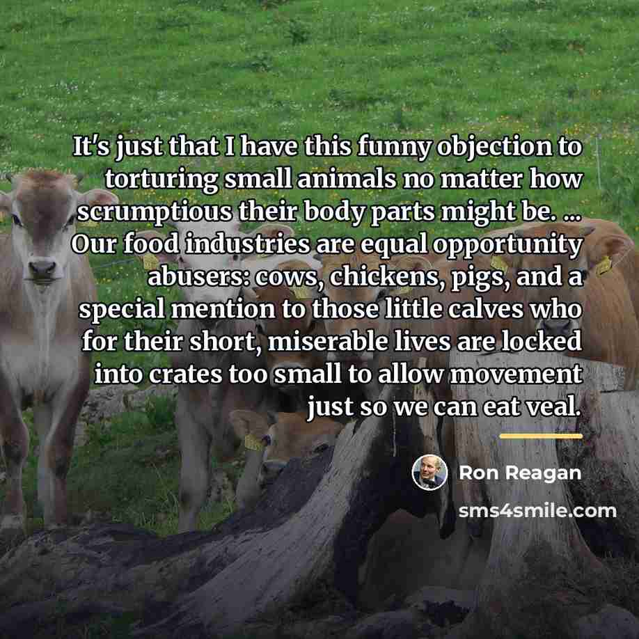 “It's just that I have this funny objection to torturing…” quote by Ron Reagan
