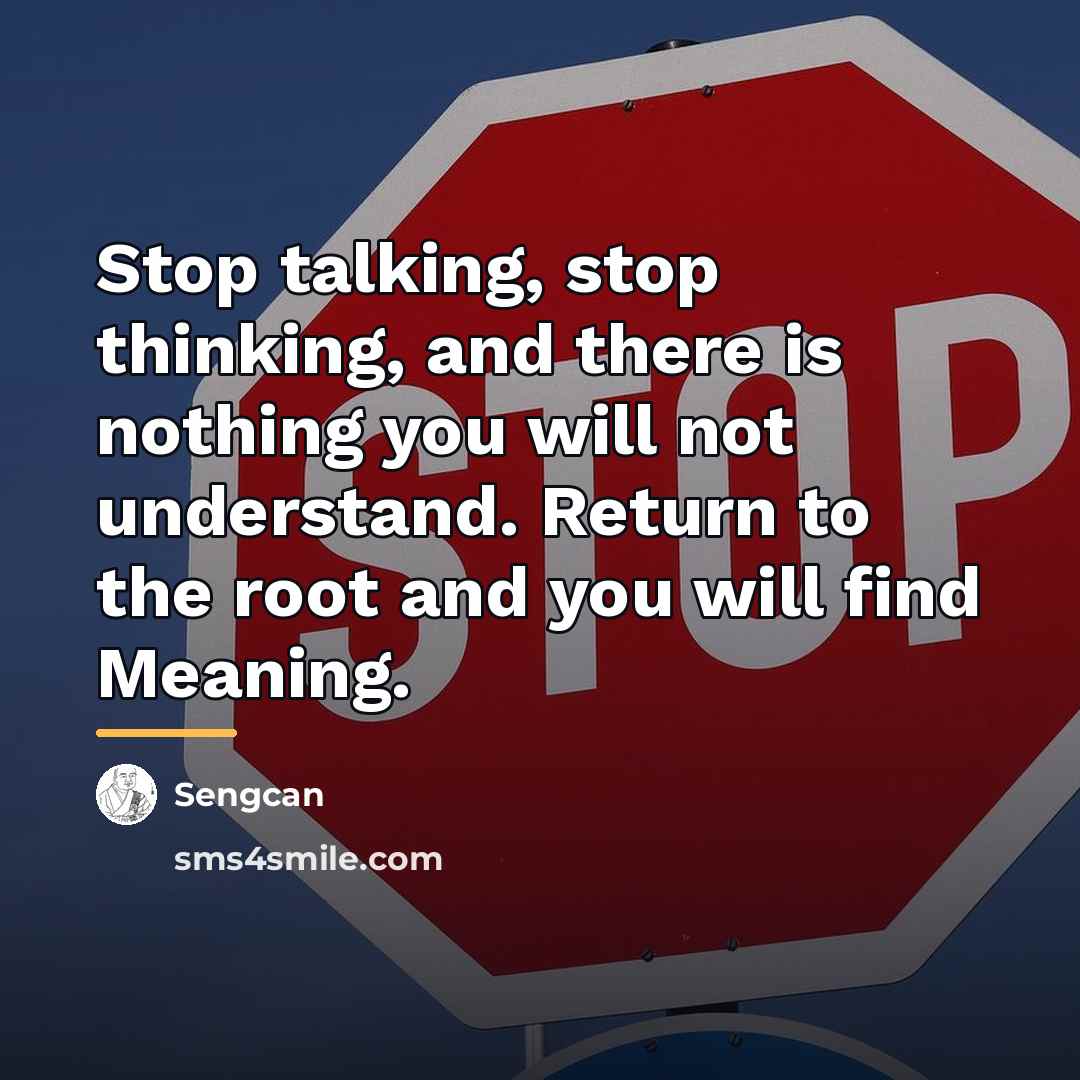 “Stop talking, stop thinking, and there is nothing you will…” quote by Sengcan