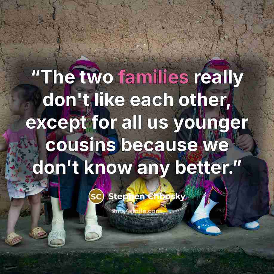 “The two families really don't like each other, except for all us younger cousins because we don't know any better.” quote by Stephen Chbosky
