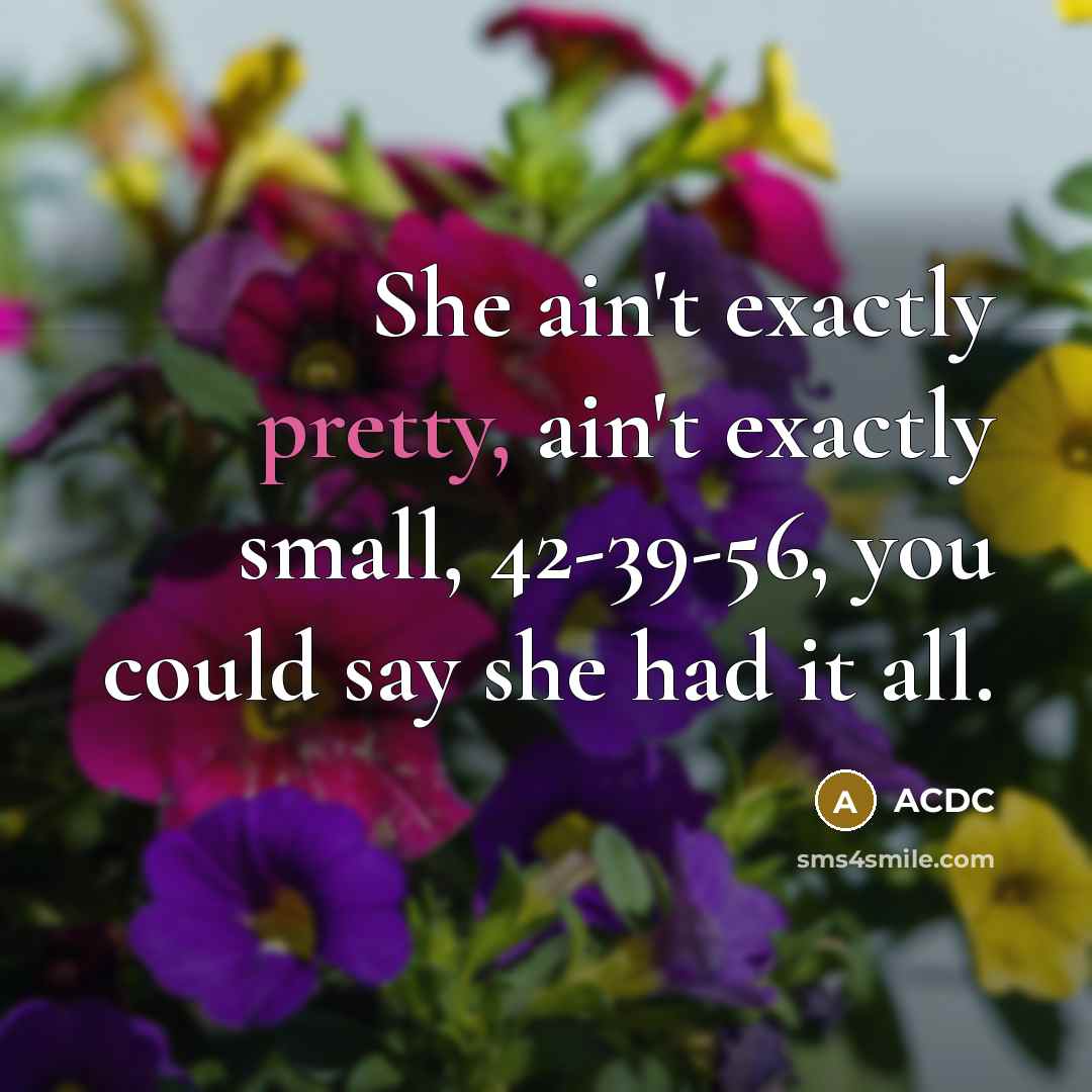 “She ain't exactly pretty, ain't exactly small, 42-39-56, you could…” quote by ACDC