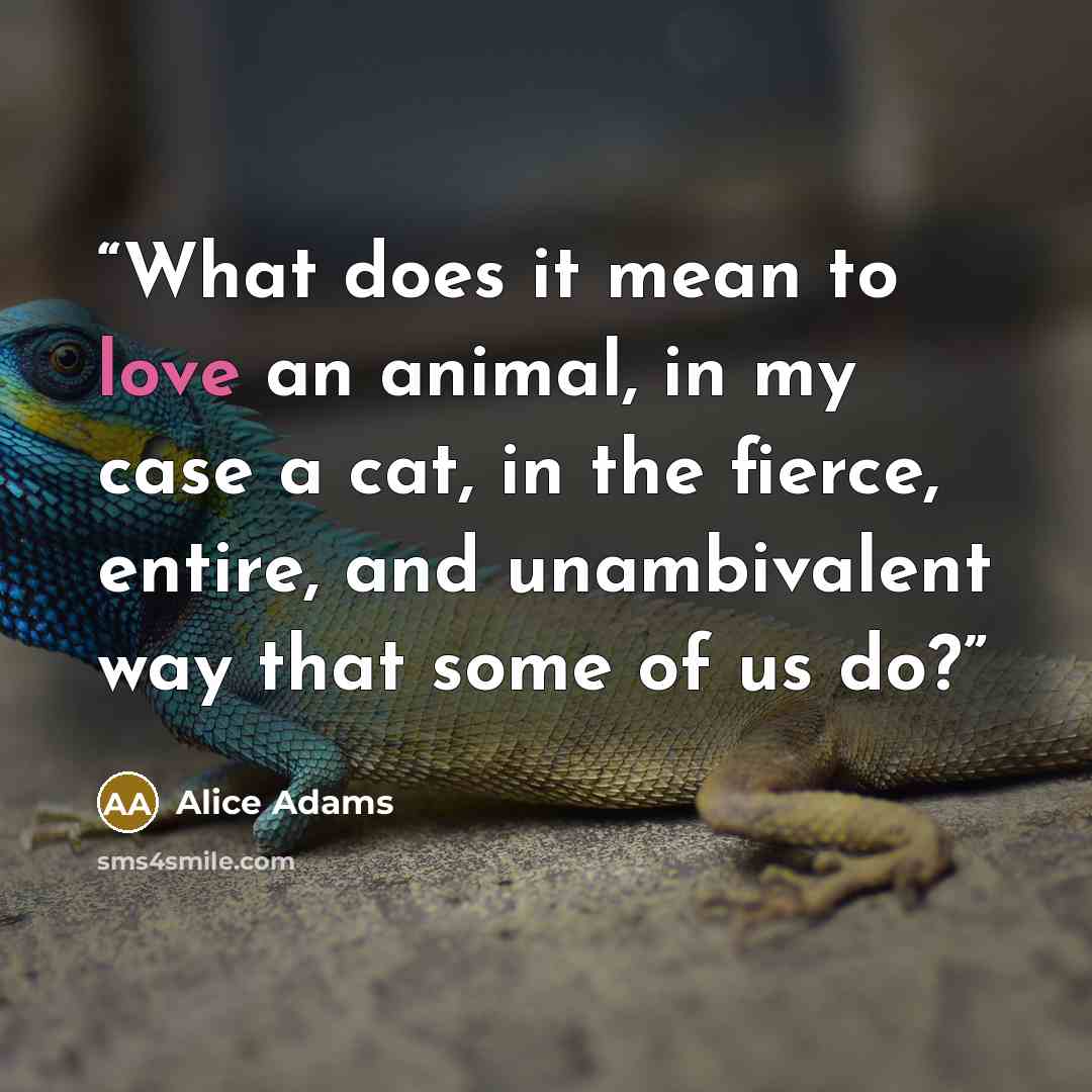 “What does it mean to love an animal, in my case a cat, in the fierce, entire, and unambivalent way that some of us do?” quote by Alice Adams
