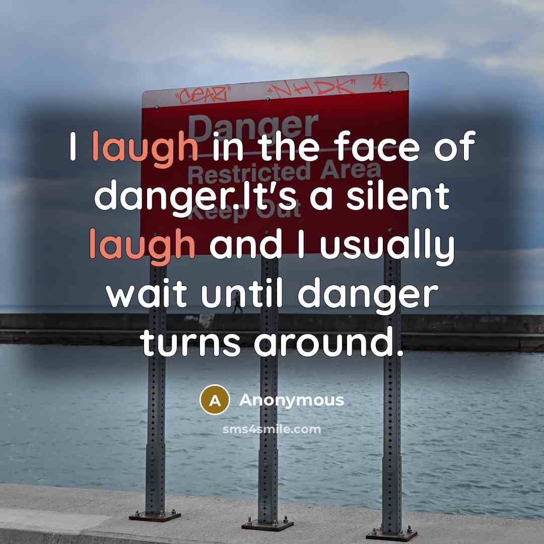 “I laugh in the face of danger.It's a silent laugh…” quote by Anonymous