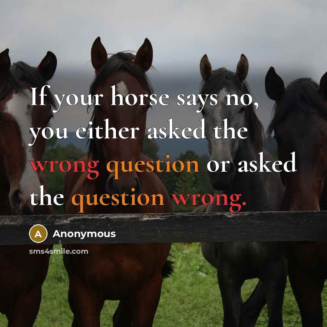 “If your horse says no, you either asked the wrong…” quote by Anonymous