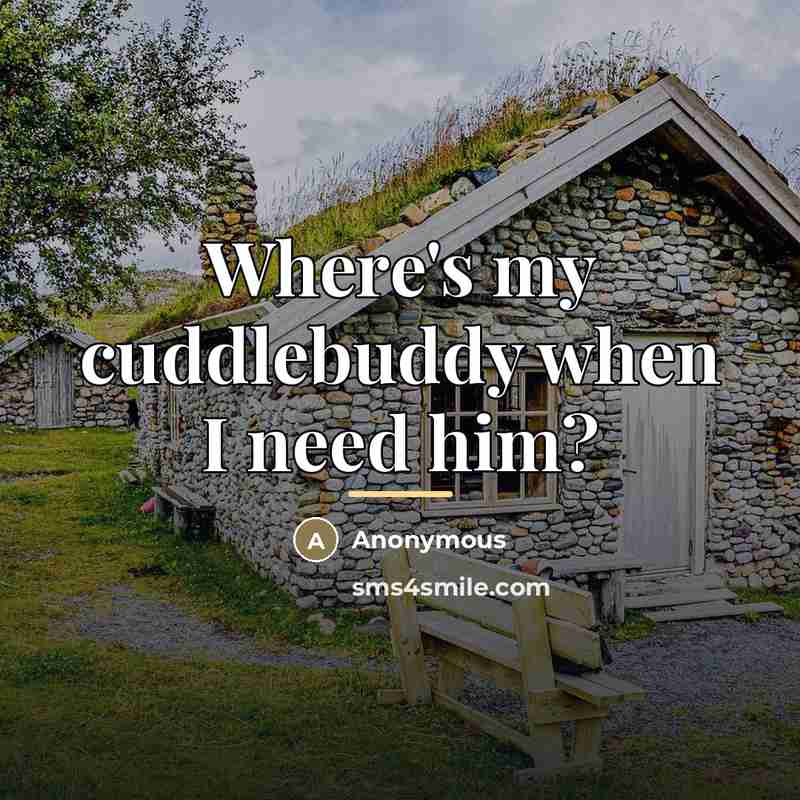 “Where's my cuddlebuddy when I need him?…” quote by Anonymous
