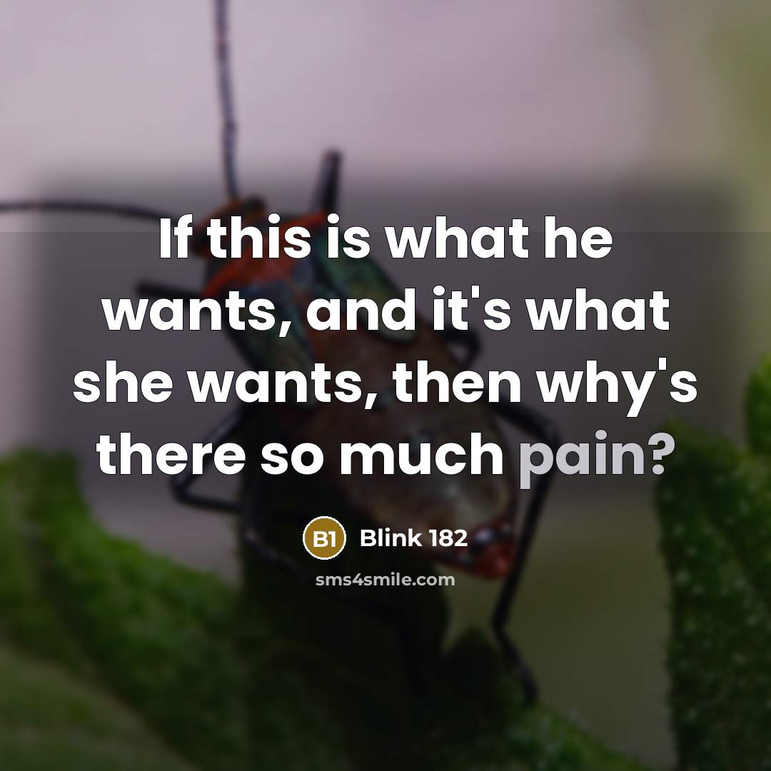 “If this is what he wants, and it's what she…” quote by Blink 182