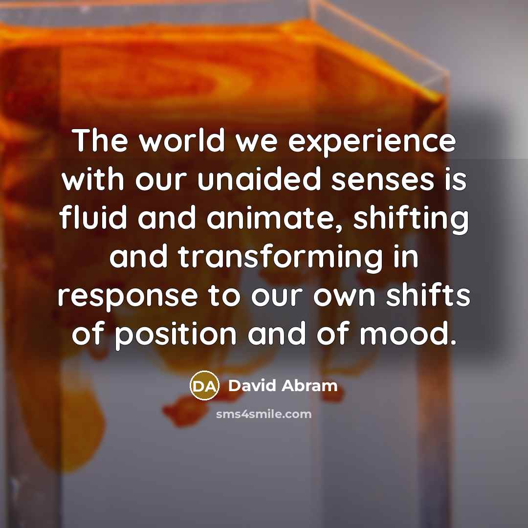 “The world we experience with our unaided senses is fluid…” quote by David Abram