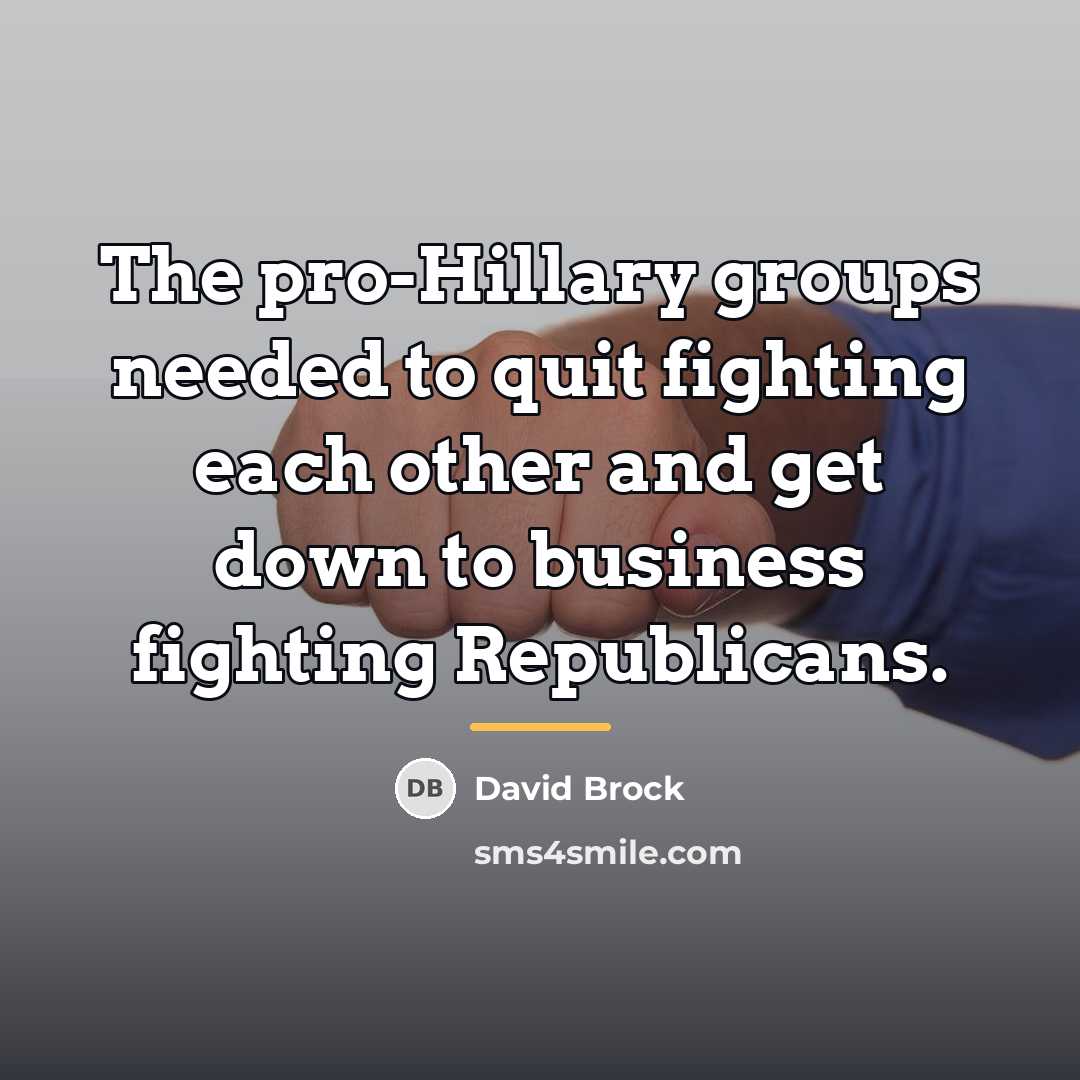 “The pro-Hillary groups needed to quit fighting each other and…” quote by David Brock
