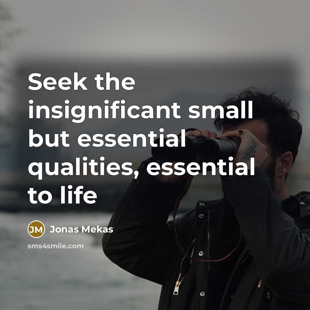 “Seek the insignificant small but essential qualities, essential to life…” quote by Jonas Mekas