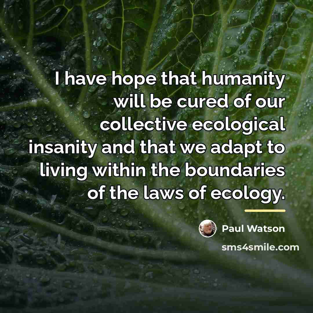 “I have hope that humanity will be cured of our…” quote by Paul Watson