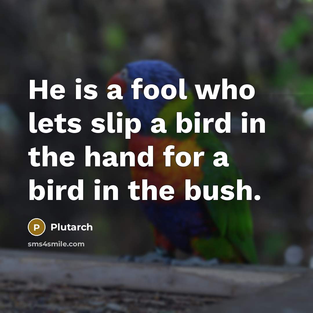 “He is a fool who lets slip a bird in…” quote by Plutarch