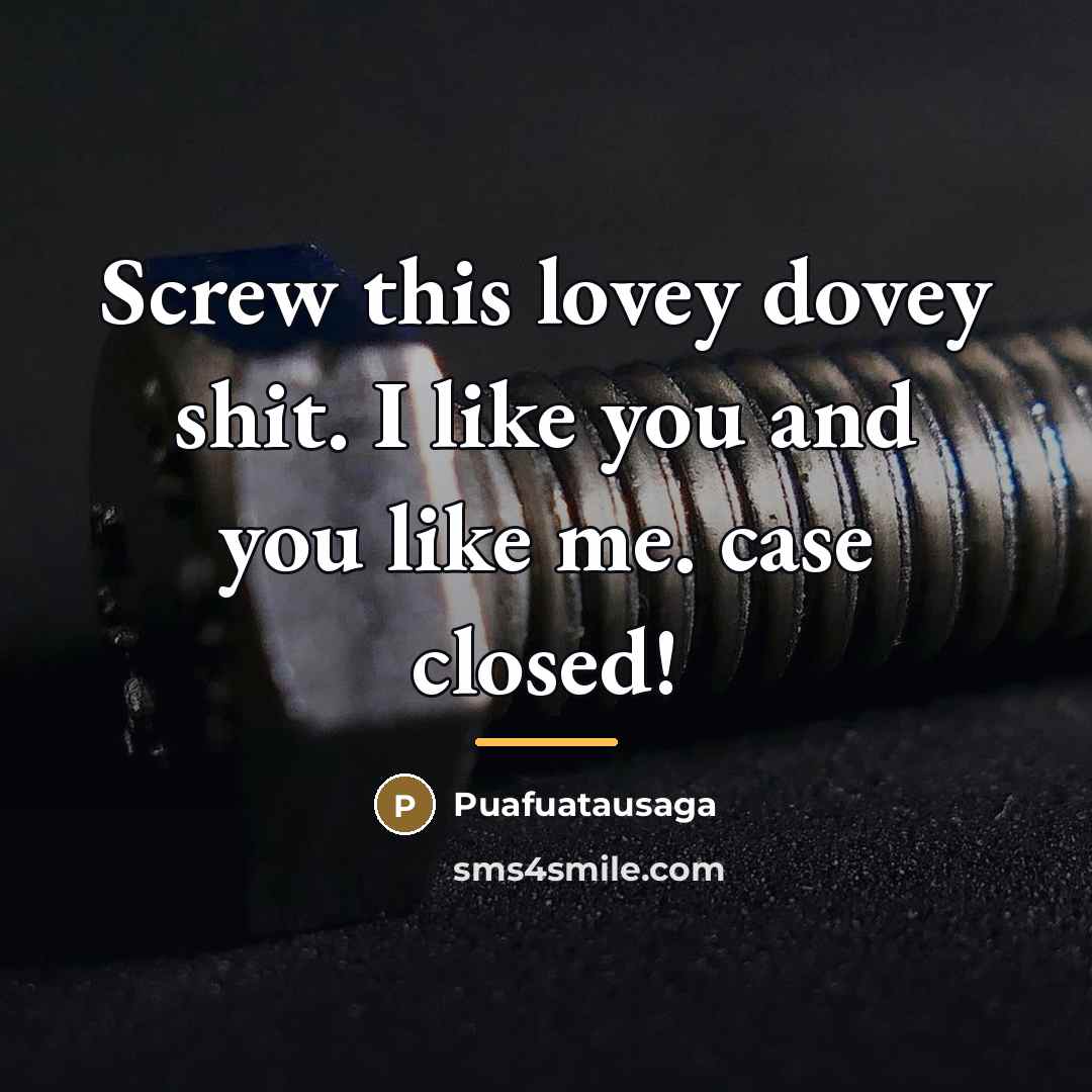 “Screw this lovey dovey shit. I like you and you…” quote by Anonymous