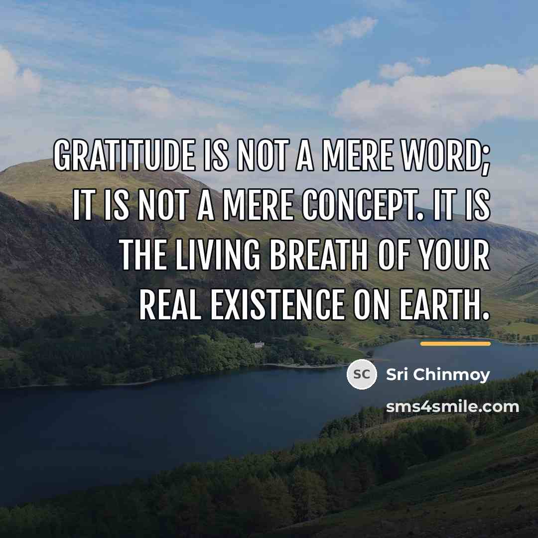 “Gratitude is not a mere word; it is not a…” quote by Sri Chinmoy
