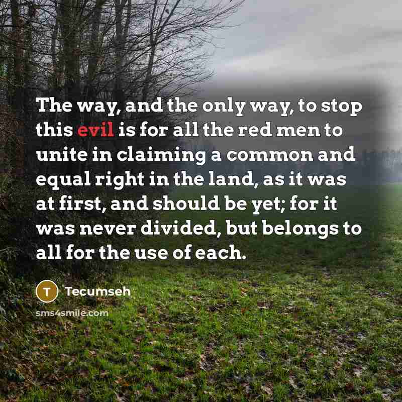 “The way, and the only way, to stop this evil…” quote by Tecumseh