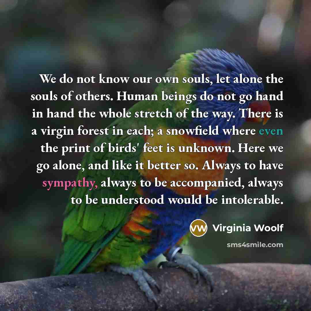 “We do not know our own souls, let alone the…” quote by Virginia Woolf