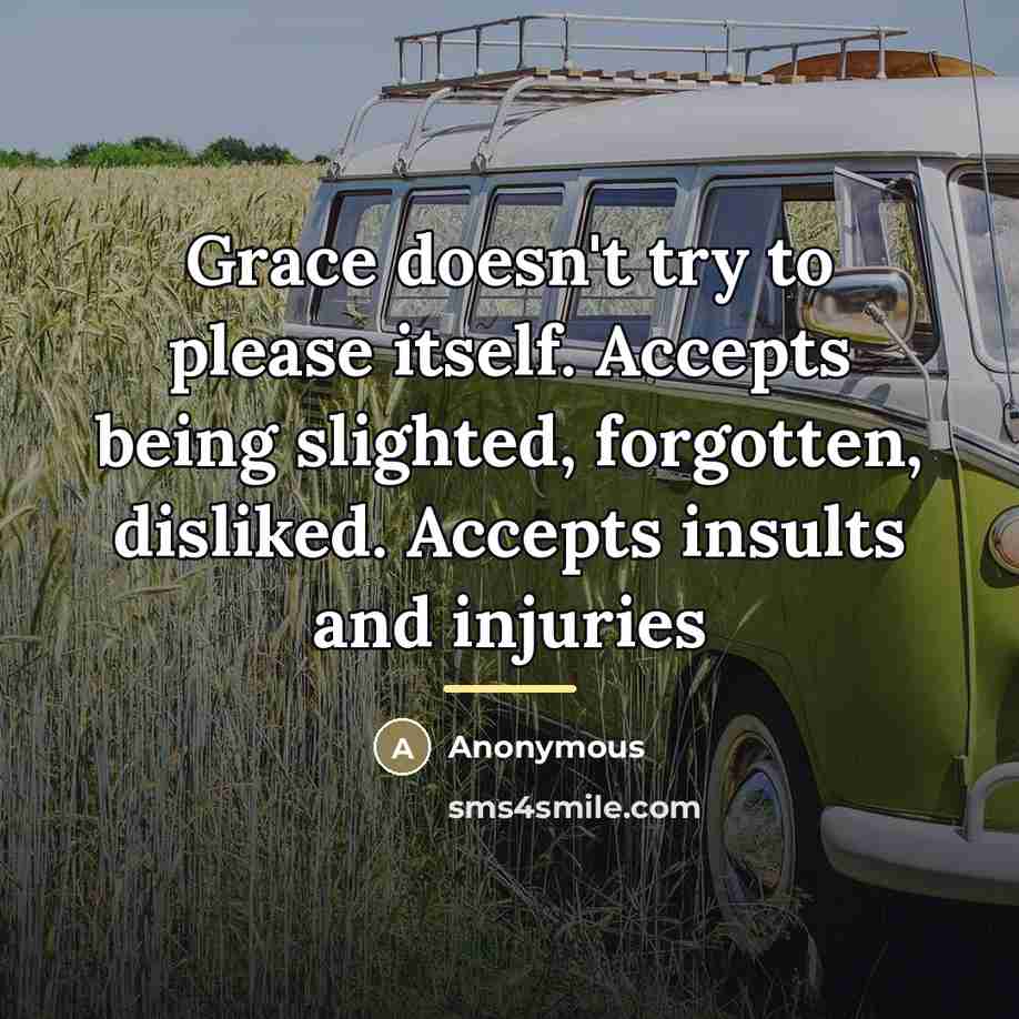 “Grace doesn't try to please itself. Accepts being slighted, forgotten,…” quote by Anonymous